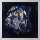 Poster Portrait de Cane Corso (Devant)