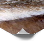 Poster Portrait de capuchon Koala (Coin)