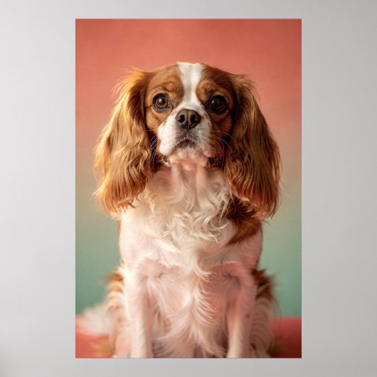 Poster Portrait de Cavalier King Charles Spaniel (Devant)