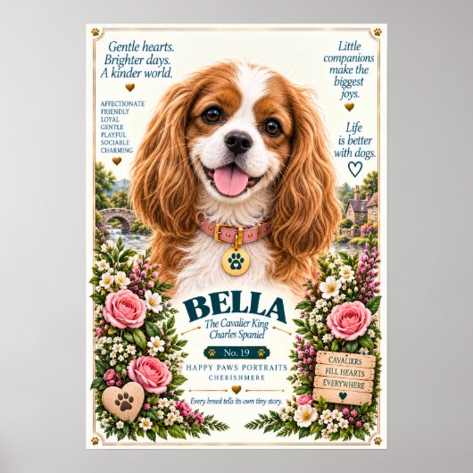 Poster Portrait de Cavalier King Charles Spaniel | Bella (Devant)