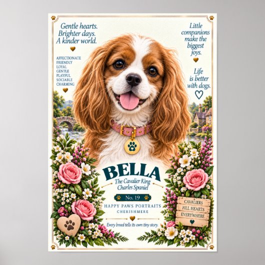 Poster Portrait de Cavalier King Charles Spaniel | Bella (Devant)