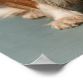 Poster Portrait de Cavalier King Charles Spaniel Dusty Bl (Coin)