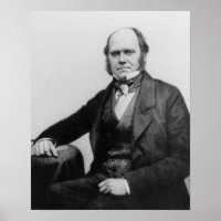 Portrait de Charles Darwin, 1854
