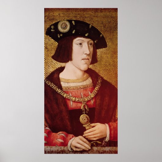Poster Portrait de Charles V (Devant)