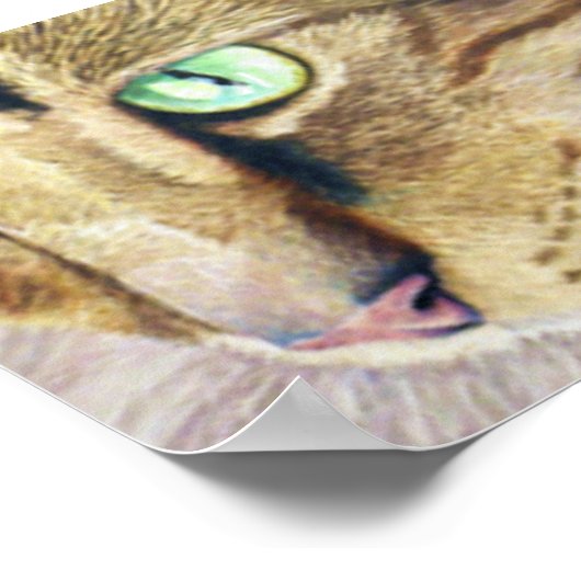 Poster Portrait de chat (Coin)