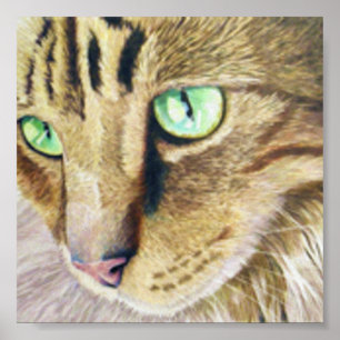 Poster Portrait de chat