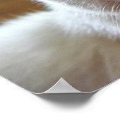 Poster Portrait de chat angora turc blanc (Coin)