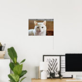 Poster Portrait de chat angora turc blanc (Bureau à domicile)