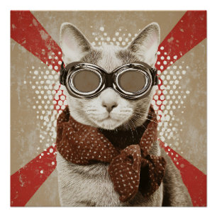 Poster Portrait de chat avec lunettes et écharpe sur drap