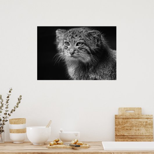 Poster Portrait de chat de Pallas (Cuisine)