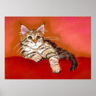 Poster Portrait de chat Maine Coon Kitten