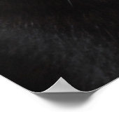 Poster Portrait de chat noir (Coin)