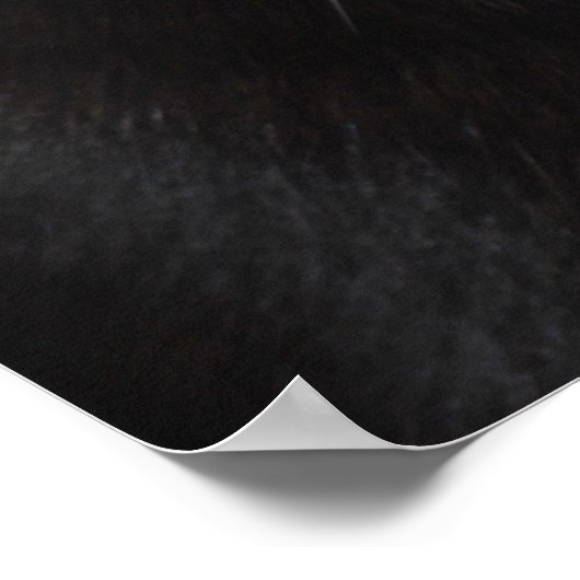 Poster Portrait de chat noir (Coin)