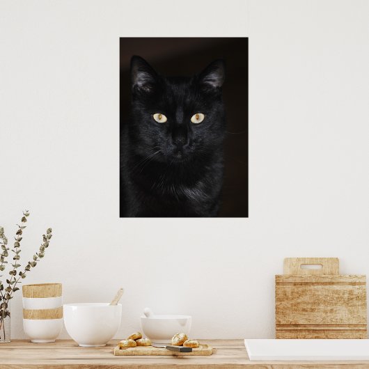 Poster Portrait de chat noir (Cuisine)