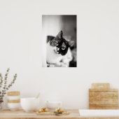 Poster Portrait de chat noir et blanc (Cuisine)