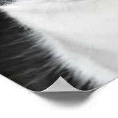 Poster Portrait de chat noir et blanc (Coin)