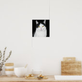 Poster Portrait de chat noir et blanc (Cuisine)