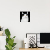 Poster Portrait de chat noir et blanc (Bureau à domicile)