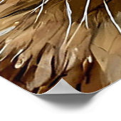 Poster Portrait de chat siamois (Coin)