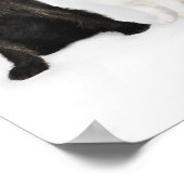 Poster Portrait de chats et de chiens assis ensemble (Coin)