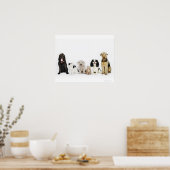 Poster Portrait de chats et de chiens assis ensemble (Cuisine)