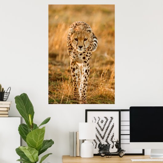 Poster Portrait de Cheetah (Bureau à domicile)