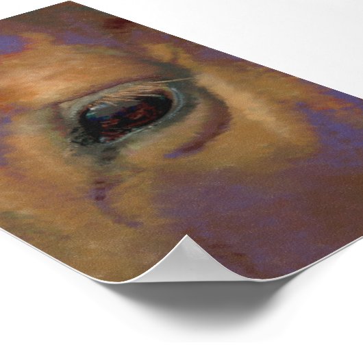 Poster Portrait de cheval (Coin)