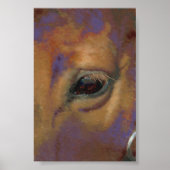 Poster Portrait de cheval (Devant)