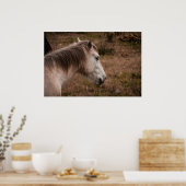 Poster Portrait de cheval (Cuisine)