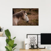 Poster Portrait de cheval (Bureau à domicile)