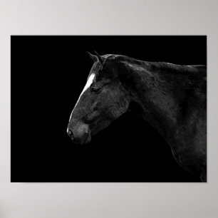 Poster Portrait de cheval