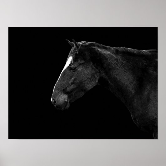 Poster Portrait de cheval (Devant)