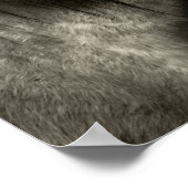 Poster Portrait de cheval (Coin)