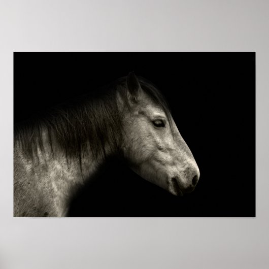 Poster Portrait de cheval (Devant)