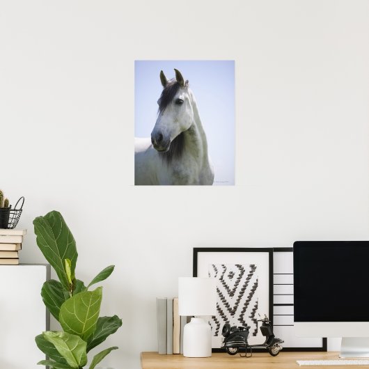 Poster portrait de cheval blanc (Bureau à domicile)