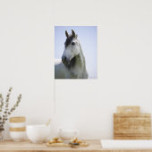 Poster portrait de cheval blanc (Cuisine)