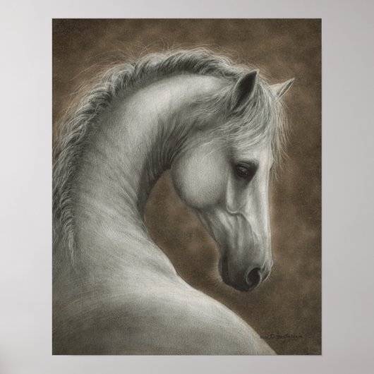 Poster Portrait de cheval blanc peint à la main (Devant)