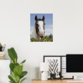 Poster Portrait de cheval Clydesdale (Bureau à domicile)