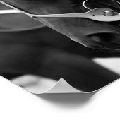 Poster Portrait de cheval en noir et blanc (Coin)