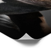 Poster Portrait de cheval II (Coin)