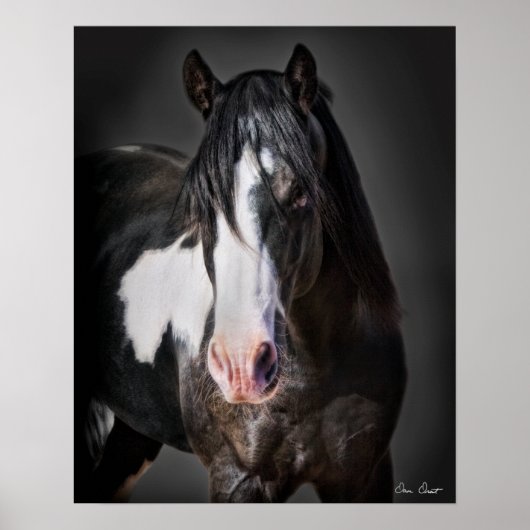 Poster Portrait de cheval II (Devant)
