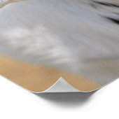 Poster Portrait de chèvre (Coin)