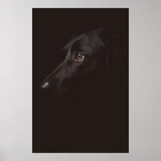 POSTER PORTRAIT DE CHIEN (Devant)