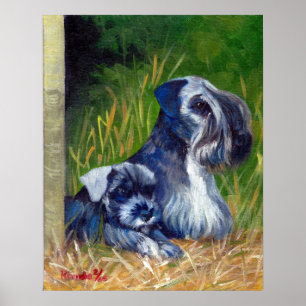 Poster Portrait de Chien Cesky Terrier