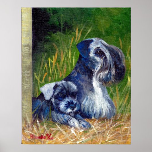 Poster Portrait de Chien Cesky Terrier (Devant)