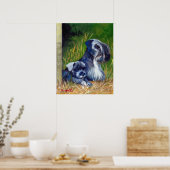 Poster Portrait de Chien Cesky Terrier (Cuisine)