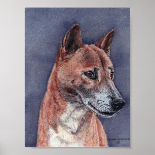 Poster Portrait de chien chantant en Nouvelle-Guinée
