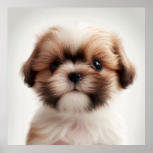 Poster Portrait de Chien Chien Chien Chien (2)