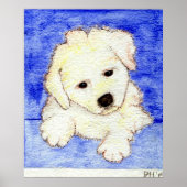 Poster Portrait de Chien Chien Chien Chien Chien Bichon F (Devant)