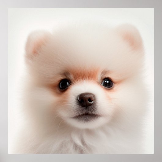 Poster Portrait de Chien Chien Chien Chien Chien Mignonne (Devant)